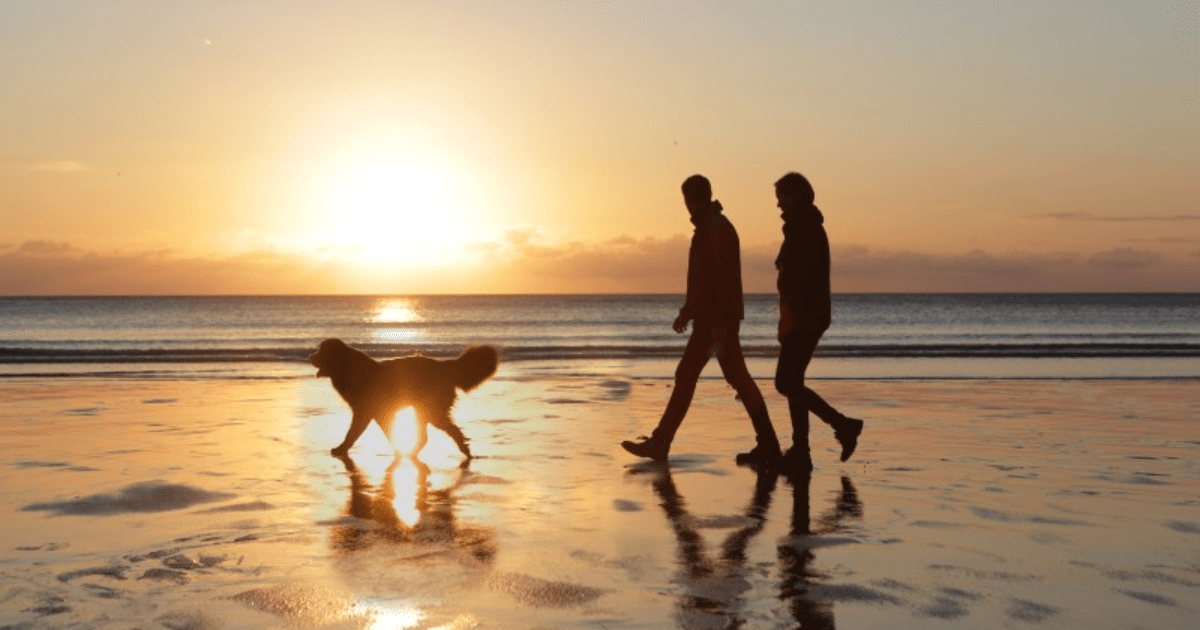 3-golden-rules-that-make-saving-for-retirement-easier-1